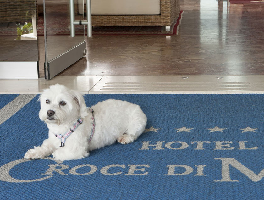 Hotel Jesolo Pet-Friendly