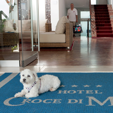 hotel jesolo mit hund mit tieren petfriendly hunde und kätze